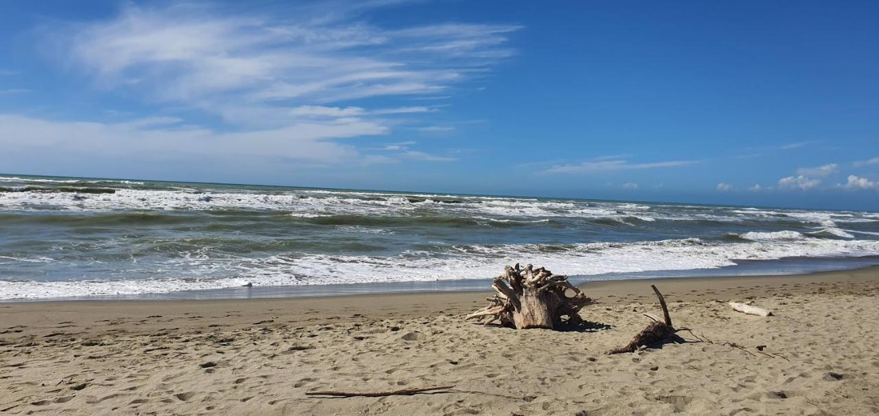 Domusauroom, Relax Nel Cuore Della Versilia - Pet Friendly Viareggio Extérieur photo